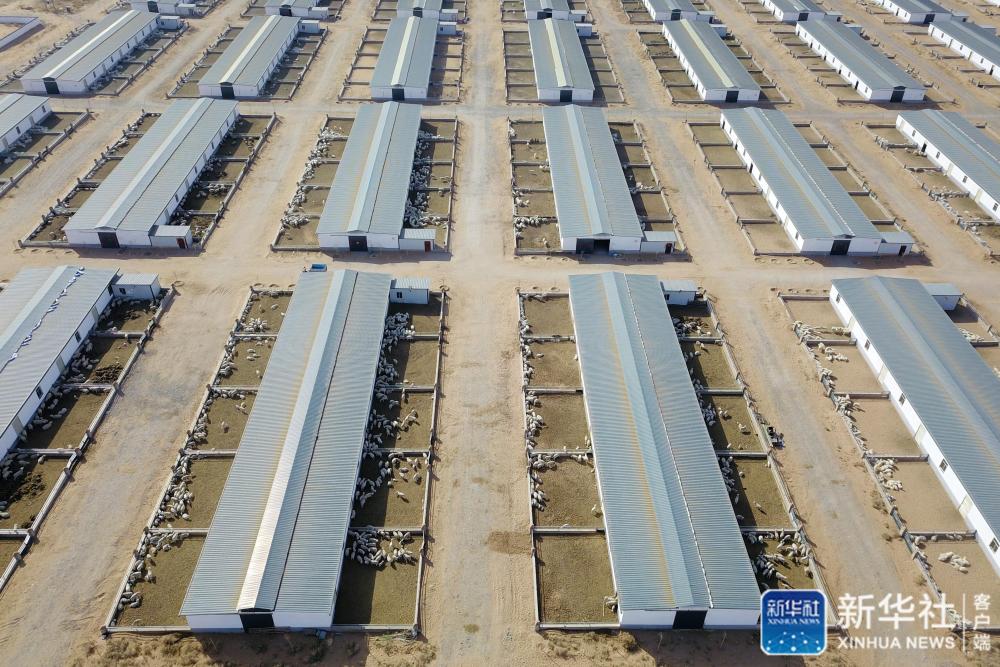 记者手记,记者手记脱贫攻坚