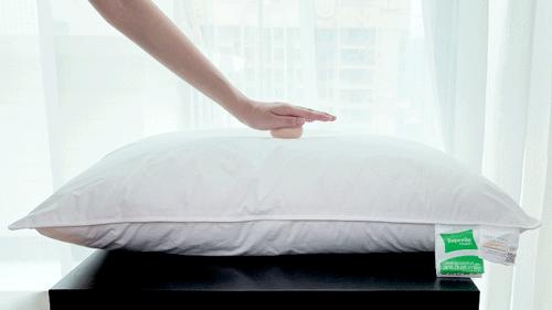 给五星酒店供货的德国大牌枕头，这里不到百元就能买到