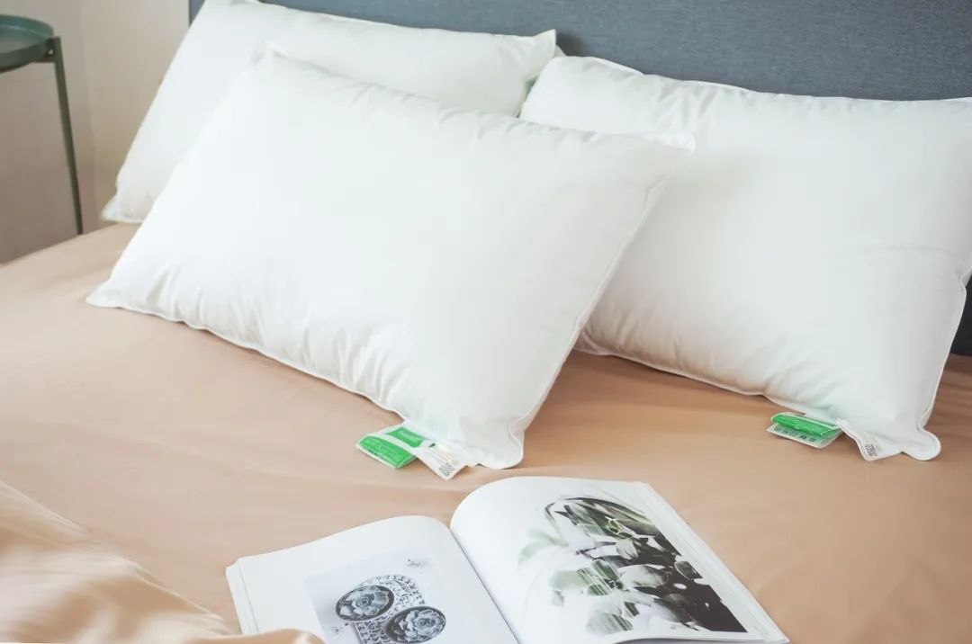 给五星酒店供货的德国大牌枕头，这里不到百元就能买到