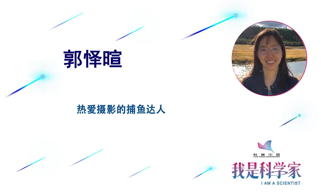 只有一只蜜蜂蜜蜂能活过去吗,一只蜂王和几只工蜂怎么发展