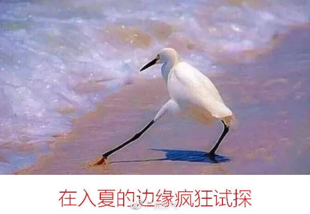 男子体内排出活虫只因爱吃一道菜,女子体内活虫蠕动只因爱吃这道菜