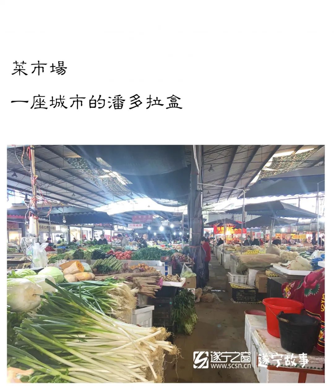 遂宁河东菜市场,遂宁市内所有菜市场