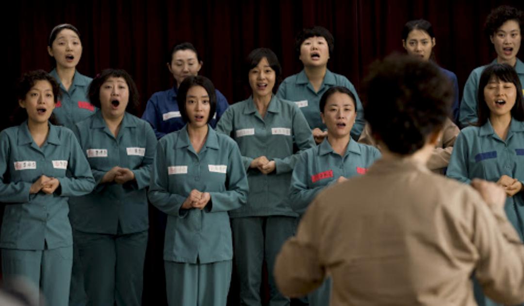 韩国化妆品代购是正货吗,在韩国做化妆品代购怎么带回来