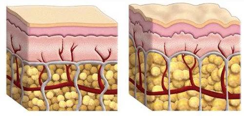 21天全测评,21天真实测评