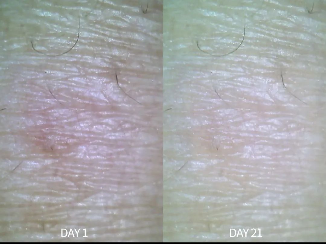 21天全测评,21天真实测评