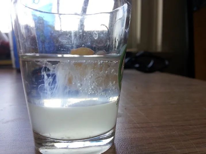 一次射精的DNA,连起来能绕地球多少圈?