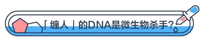 一次射精的DNA,连起来能绕地球多少圈?