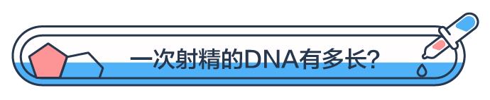 一次射精的DNA,连起来能绕地球多少圈?