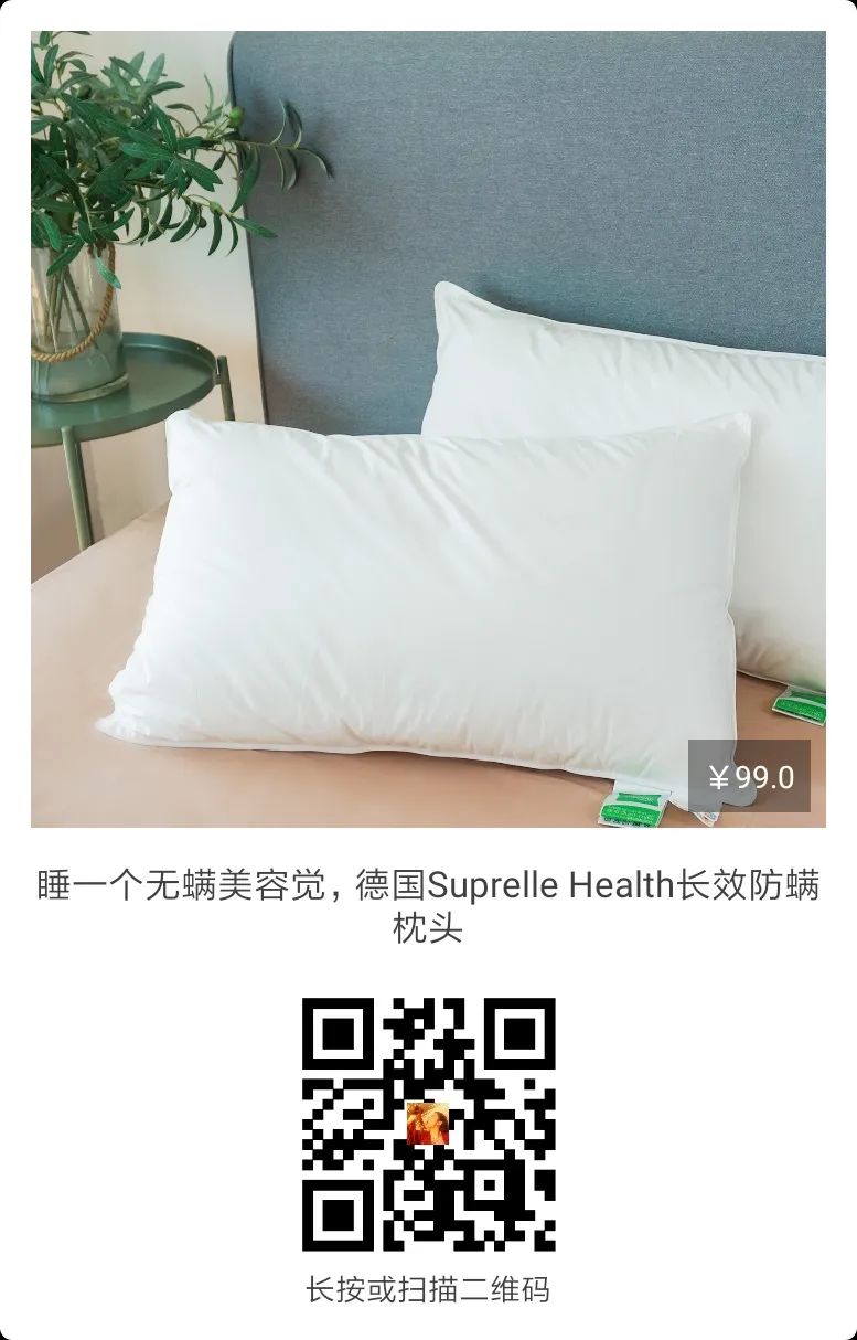 给五星酒店供货的德国大牌枕头，这里不到百元就能买到