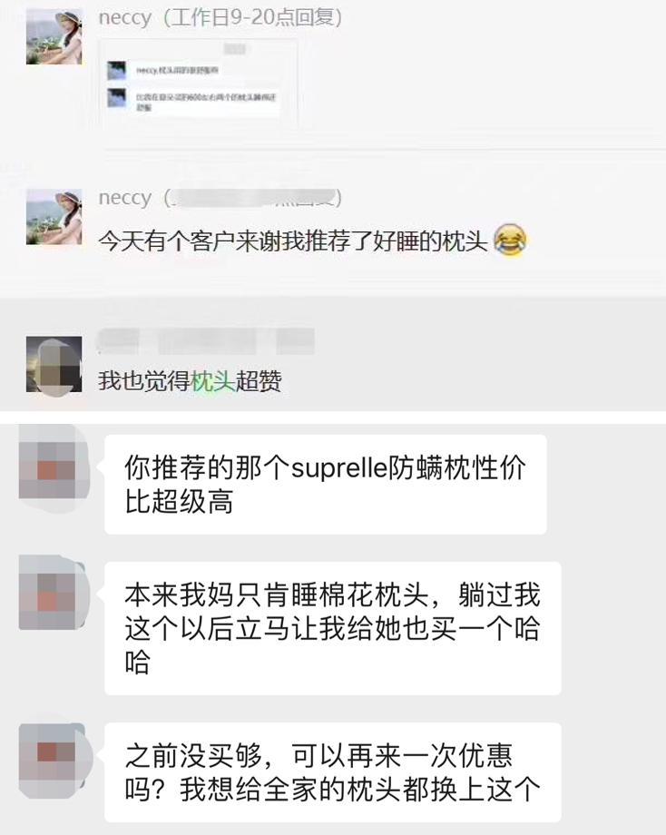 给五星酒店供货的德国大牌枕头，这里不到百元就能买到