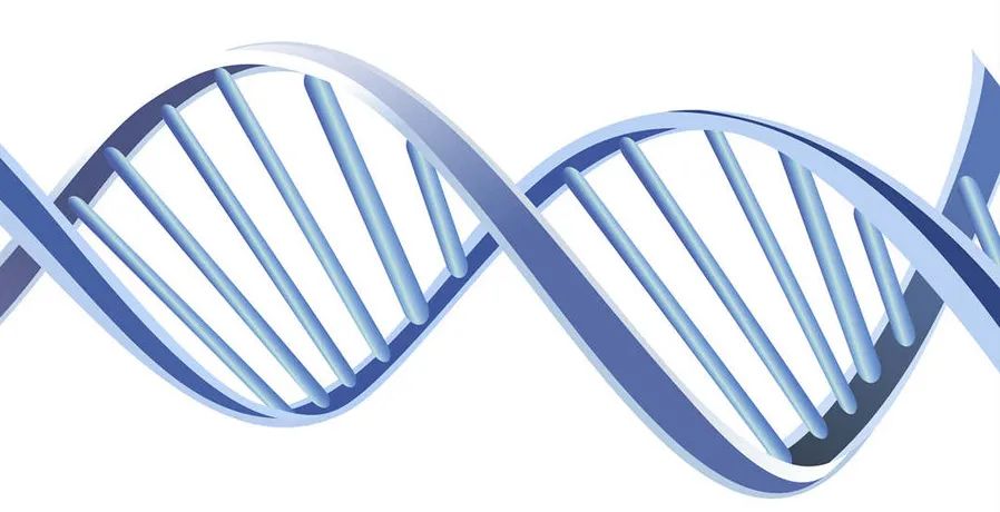 类风湿性关节炎研究热点,类风湿性关节炎最新发现