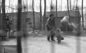 被铁链绑住，注射避孕药，连续伺候几百人后，她挣扎着死去……