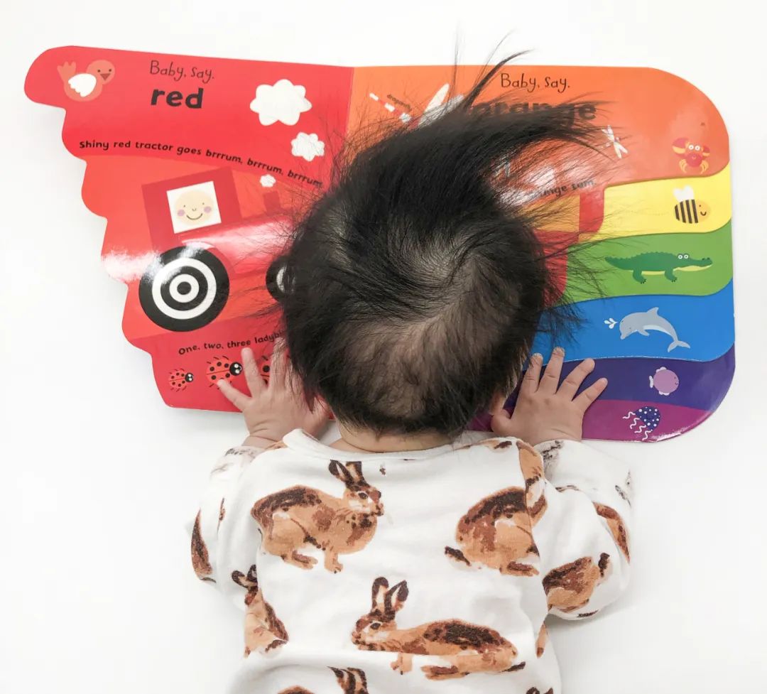 0-6个月宝宝必读书,6-12个月宝宝书籍推荐