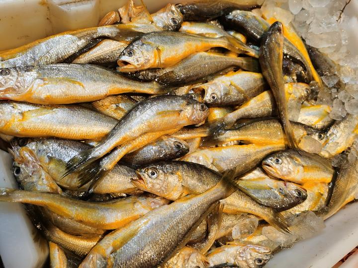 海边别墅海鲜推荐,199元海景房