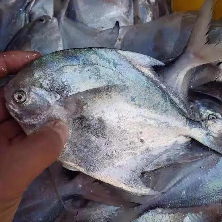 海边别墅海鲜推荐,199元海景房