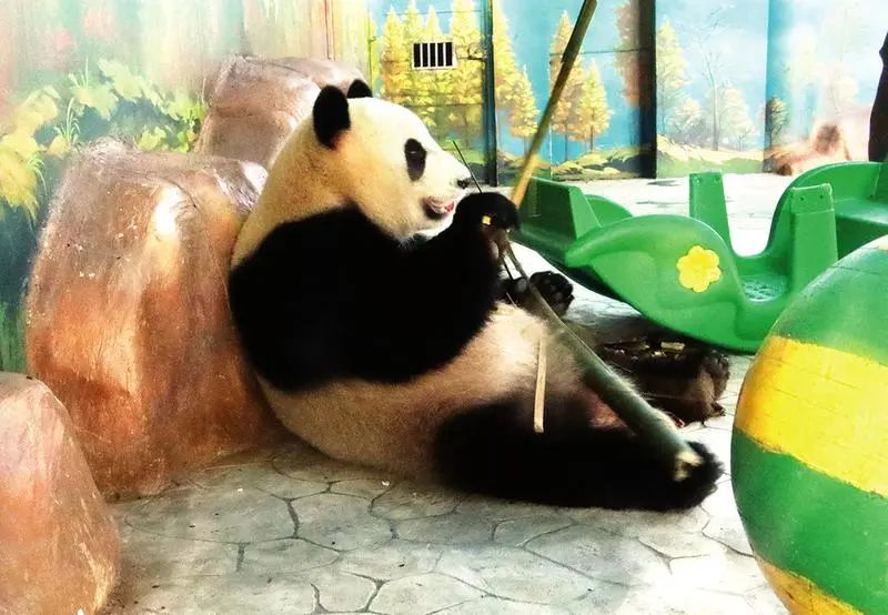 五一南宁免门票景区,五一南宁旅游景点免门票推荐