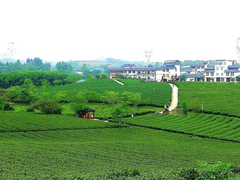 五一南宁免门票景区,五一南宁旅游景点免门票推荐