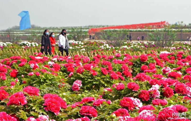 河北邯郸峰峰矿区彭城,邯郸旅游推介区