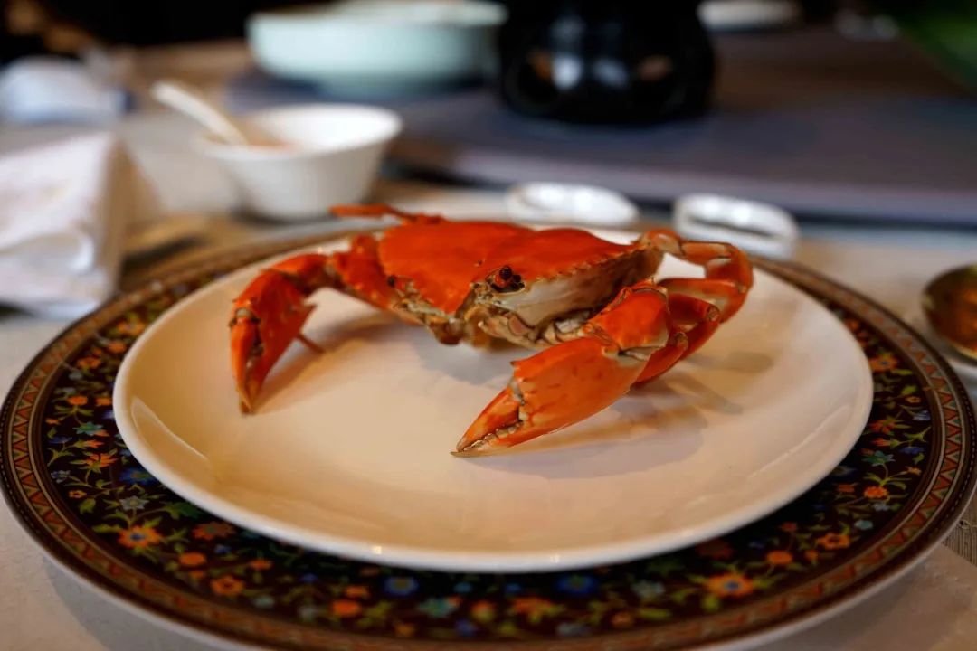 六席|春日风物志，柔软时光一期一会