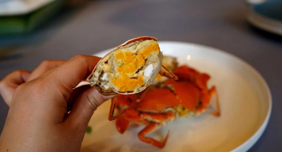 六席|春日风物志，柔软时光一期一会