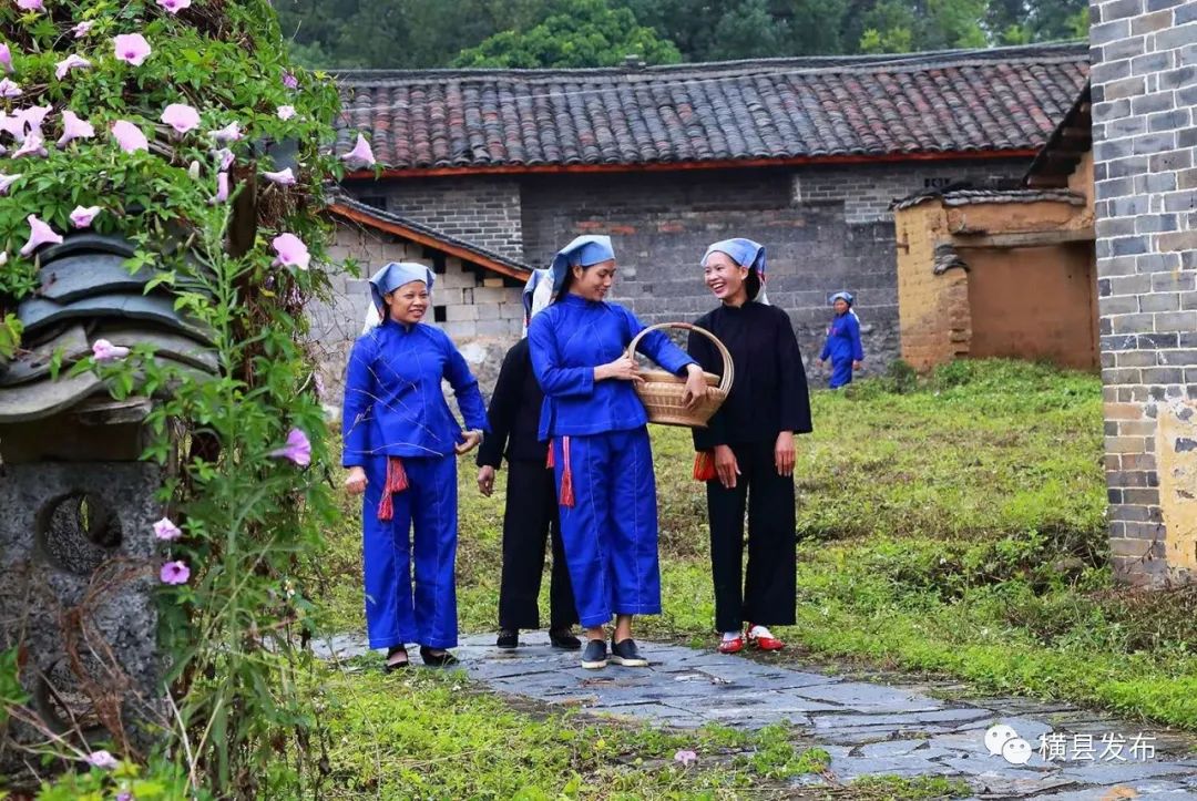 横县游玩的地方推荐,广西横县旅游胜地