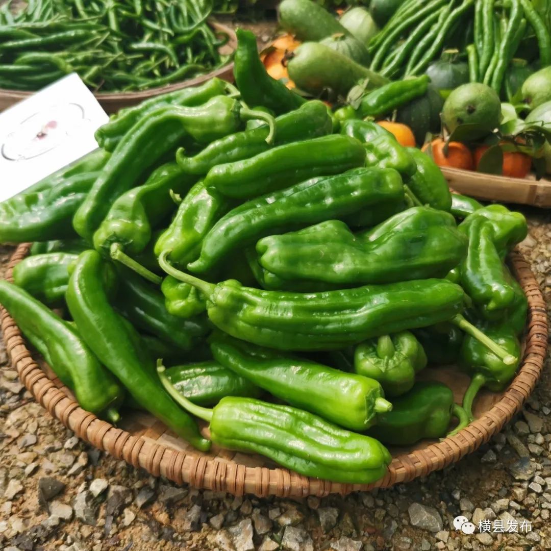 横县游玩的地方推荐,广西横县旅游胜地