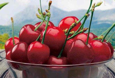 “樱”“唯”有你！五月，让我们相约在铜川的樱桃园