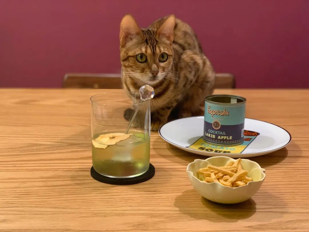 梁朝伟喝什么酒一杯倒,梁朝伟酒好喝是因为他难喝台词