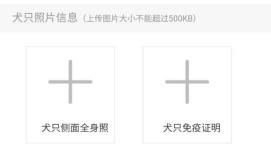 养犬证怎么在线办,养犬证在网上怎么办理