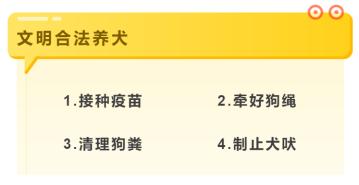 养犬证怎么在线办,养犬证在网上怎么办理