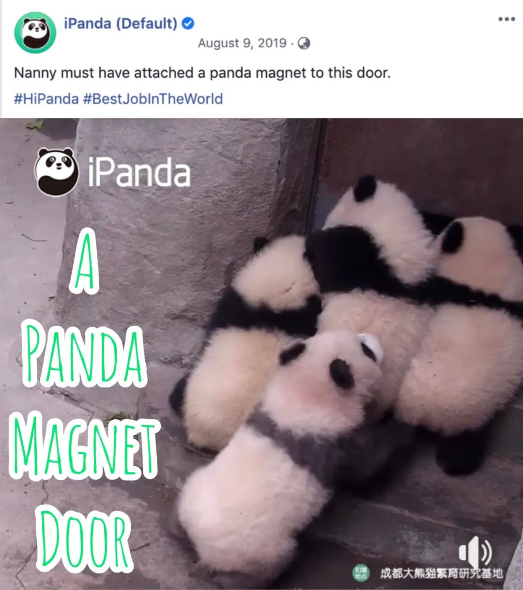 精准发力海外传播,熊猫频道拿出了怎样的“看家*器武**”?