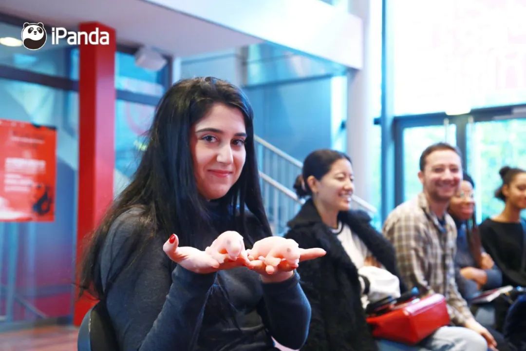 精准发力海外传播,熊猫频道拿出了怎样的“看家*器武**”?