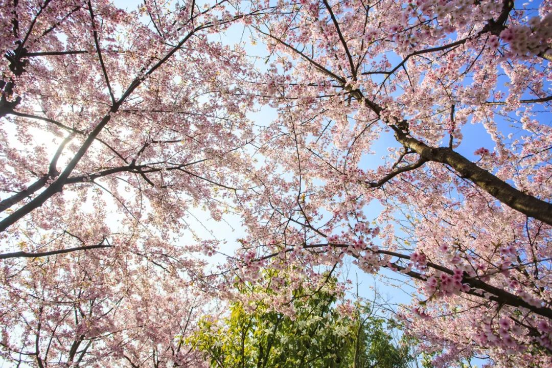 五一小众旅游推荐宁波,宁波美丽乡村旅游推荐