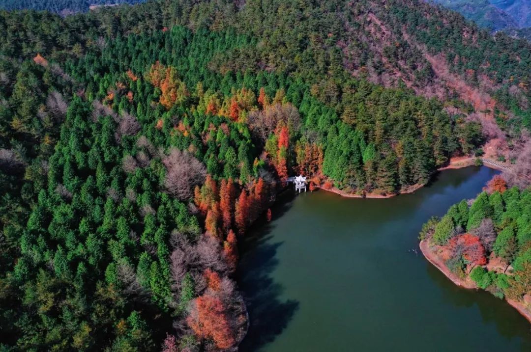 五一小众旅游推荐宁波,宁波美丽乡村旅游推荐