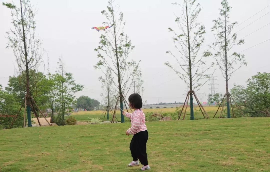 南京江宁赏秋,秋分时间景色图