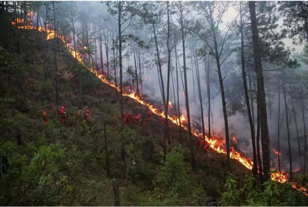 森林消防守护绿水青山,森林防火守护绿水青山绘画
