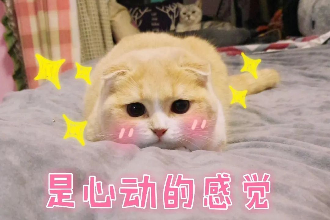 天津11月低价机票大全,天津8月飞各地低价机票