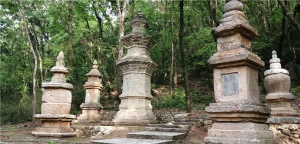 河南南阳好春光,南阳香严寺航拍