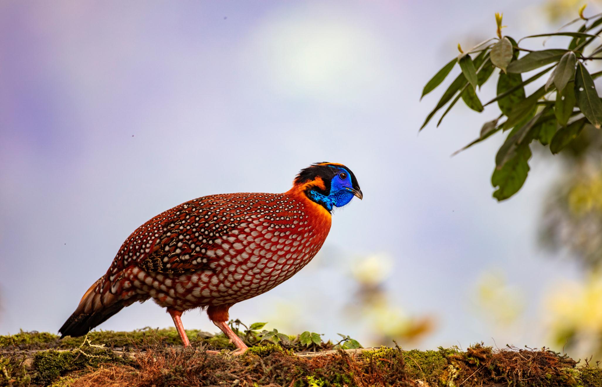 夜钓诡异事件:从五官感受,到心理暗示,是如何把自己吓跑的?