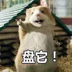 拆解64集BBC纪录片,每天看一集,英语水平超大多数国人……