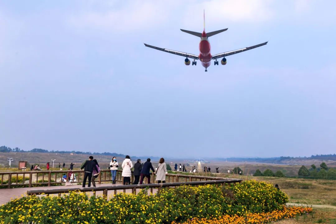 招聘1万多岗位信息汇总,成都公开招聘1341岗位表