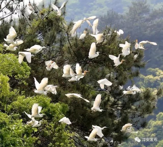 最惊艳的千岛湖,美丽壮观的千岛湖