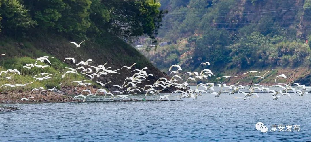 最惊艳的千岛湖,美丽壮观的千岛湖