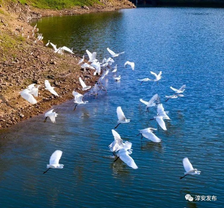 最惊艳的千岛湖,美丽壮观的千岛湖