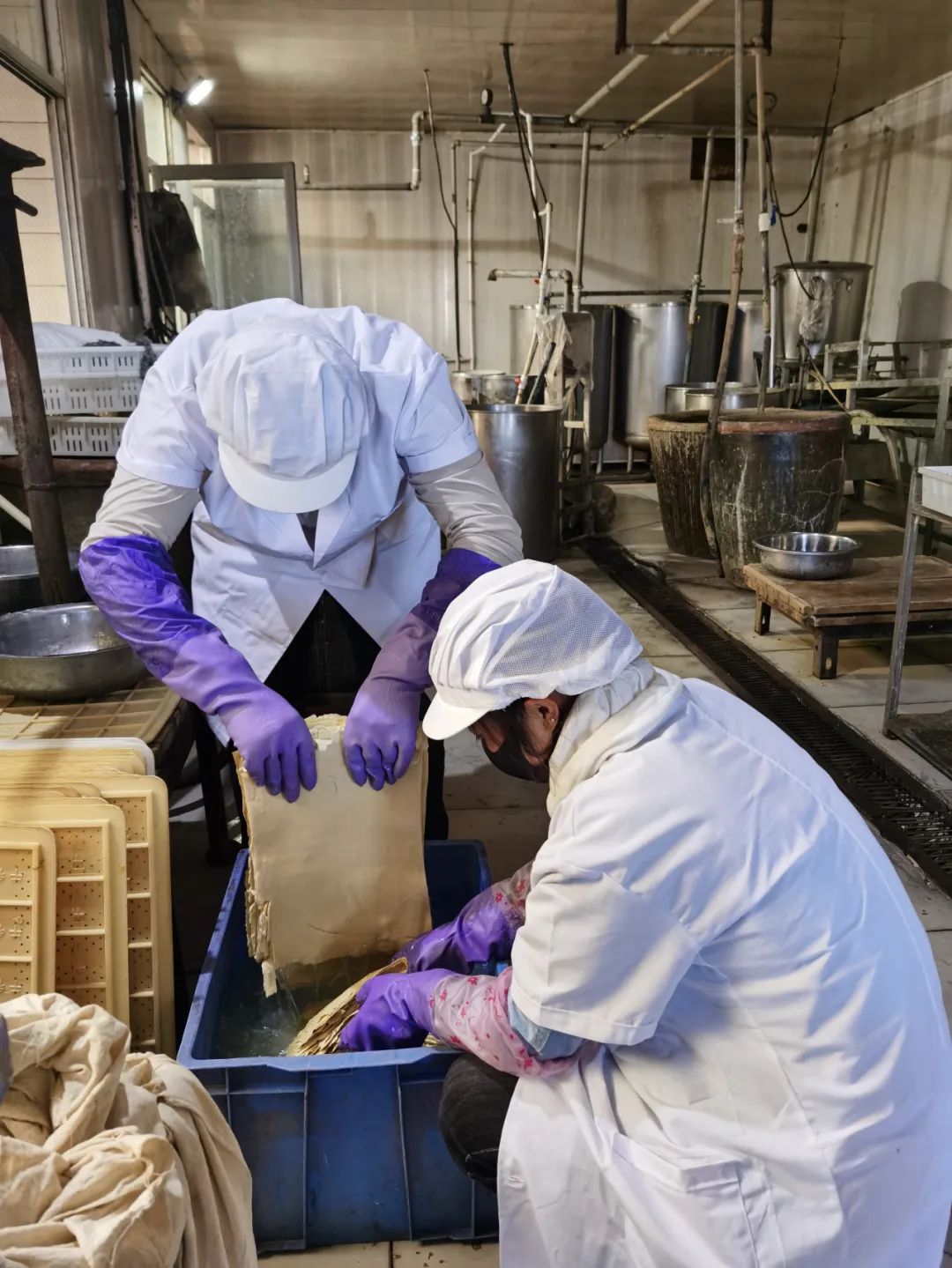 决战脱贫攻坚走上致富快车道,决战决胜脱贫攻坚荒山坡变致富田