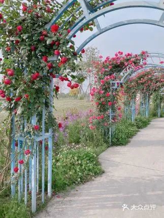 成都一日游打卡必备,成都网红打卡景点一日游