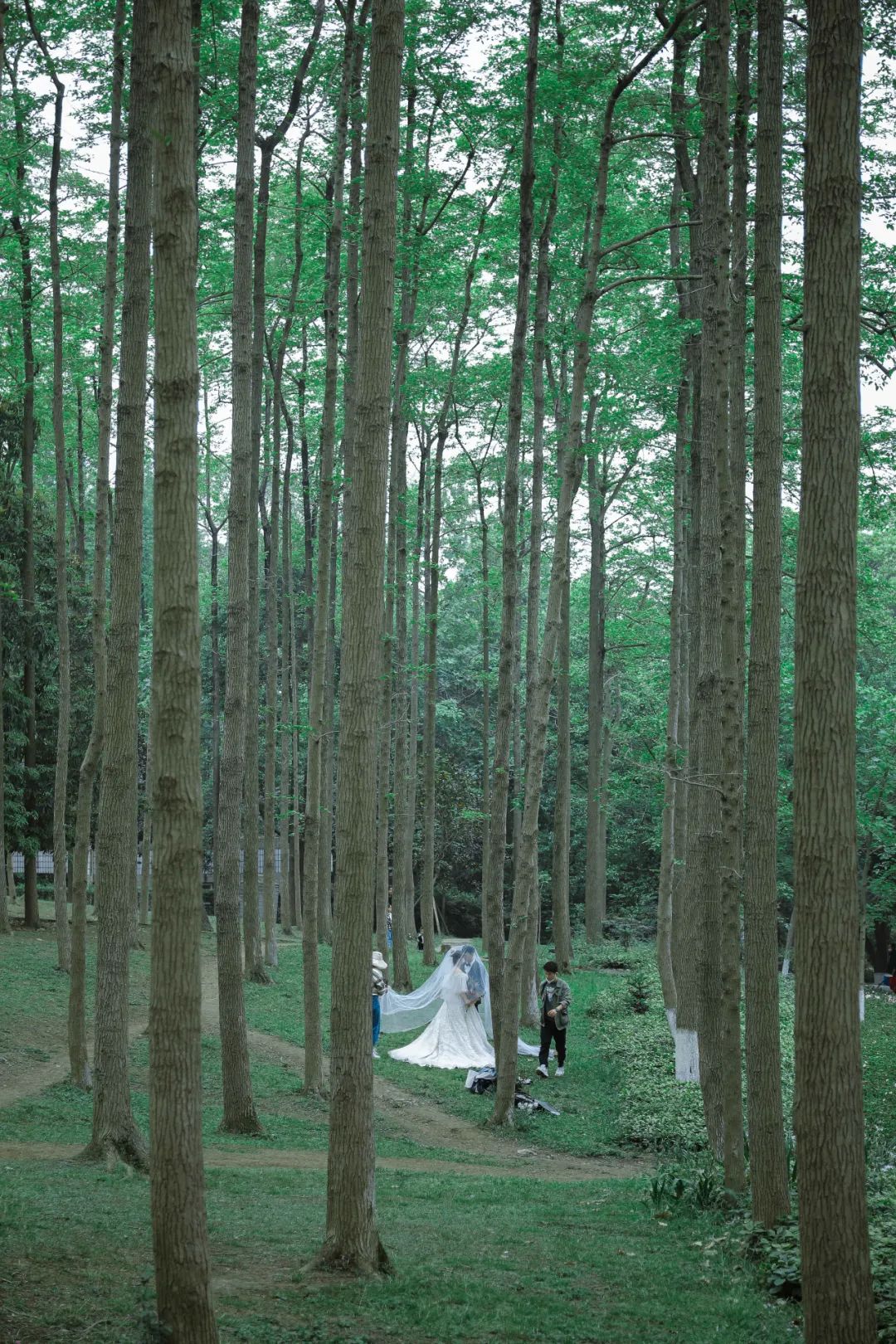 成都一日游打卡必备,成都网红打卡景点一日游