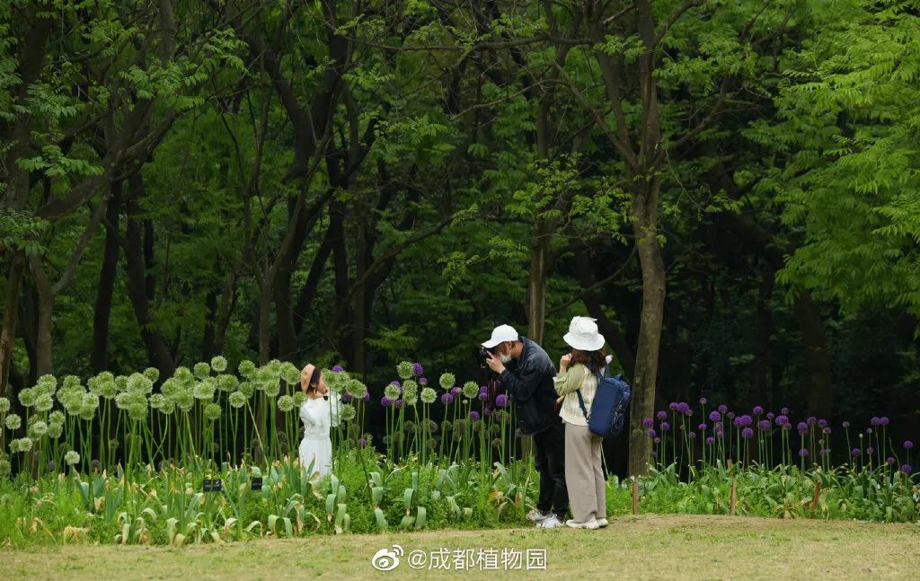 成都一日游打卡必备,成都网红打卡景点一日游