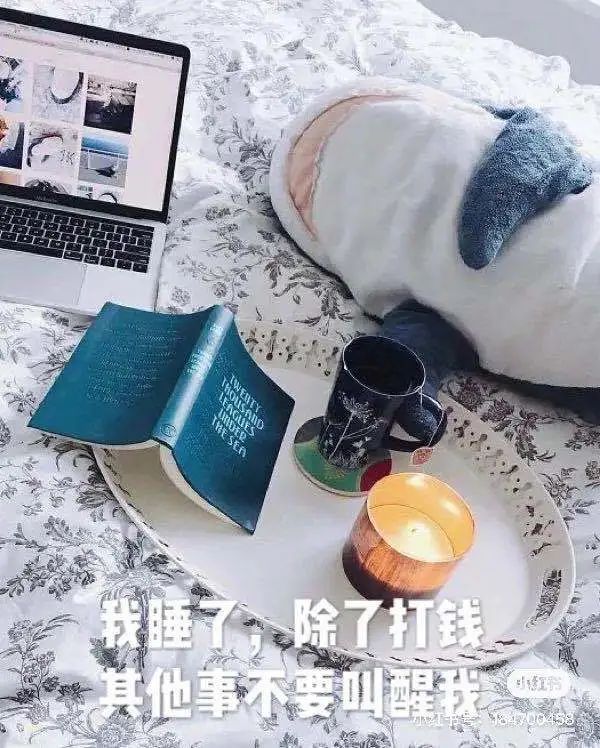 宜家好物推荐100元以下,宜家好物推荐第一集