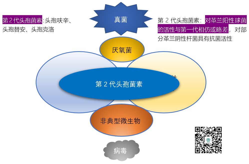 图说抗菌药物的抗菌谱，再也不会记不住了